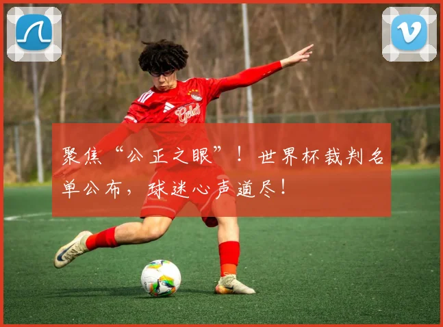 聚焦“公正之眼”！世界杯裁判名单公布，球迷心声道尽！